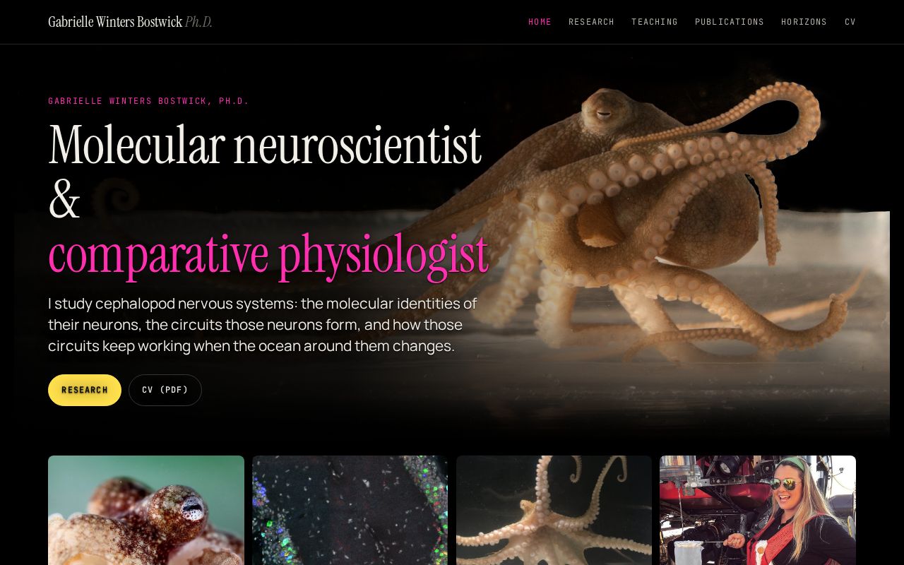 Preview of Gabrielle Winters Bostwick, personal academic site