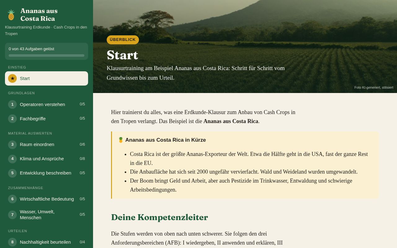 Preview of Ananas aus Costa Rica