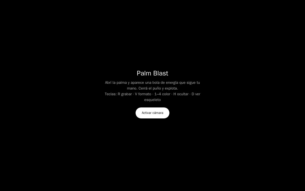Preview of Palm Blast