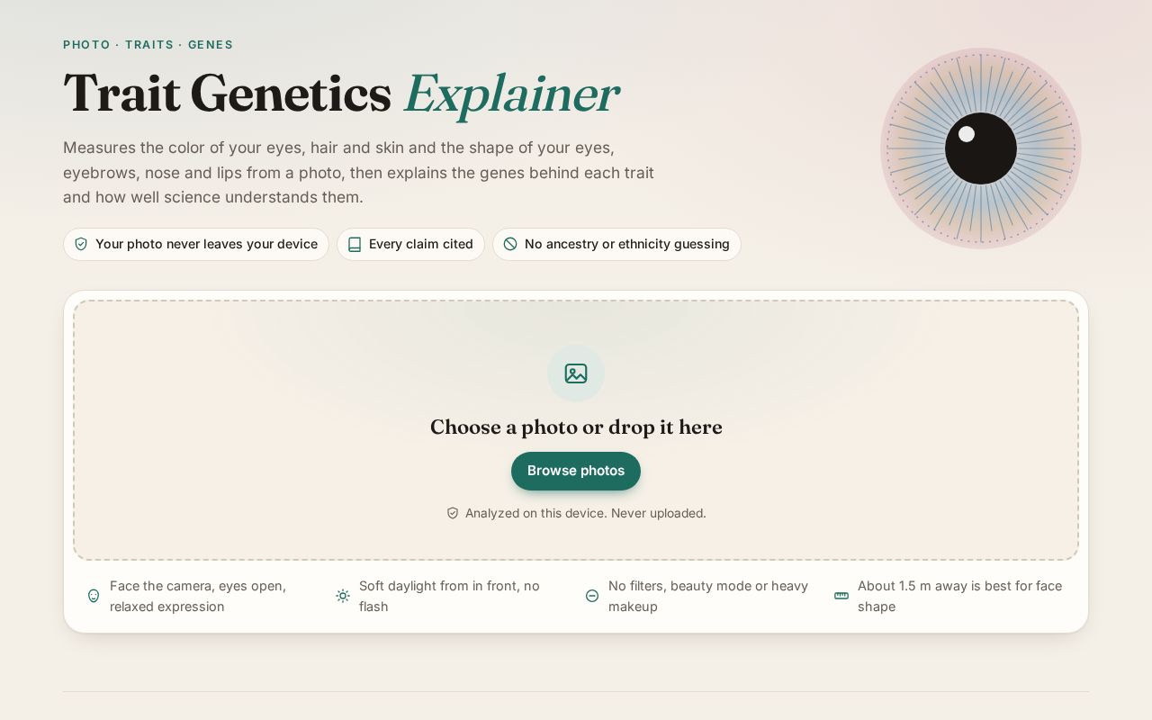 Preview of Face Trait Analyzer