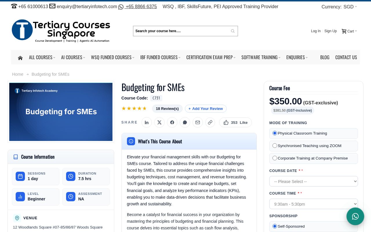 Preview of C731 Budgeting For SMEs
