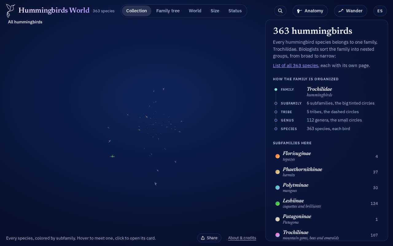 Preview of Hummingbirds World
