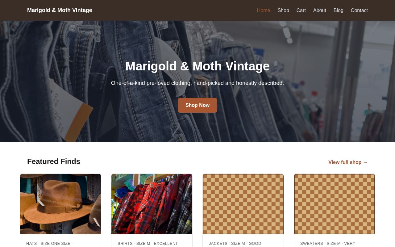 Preview of Vintage Clothing Shop Example