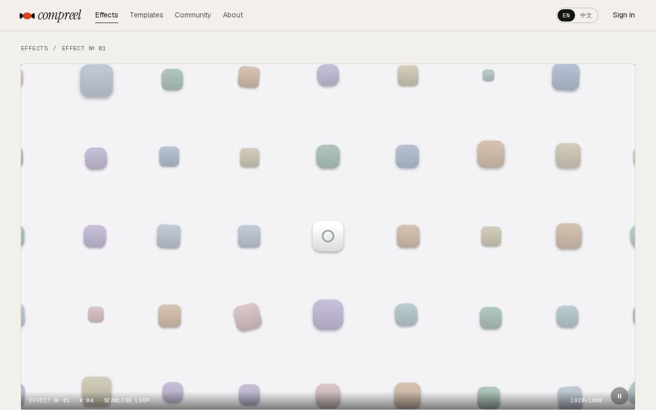 Preview of Compreel Motion Studies