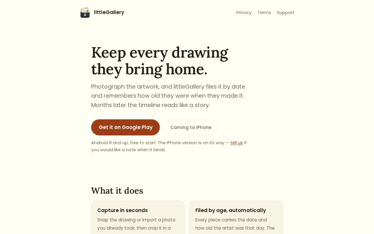 Preview of Littlegalleryprivacy