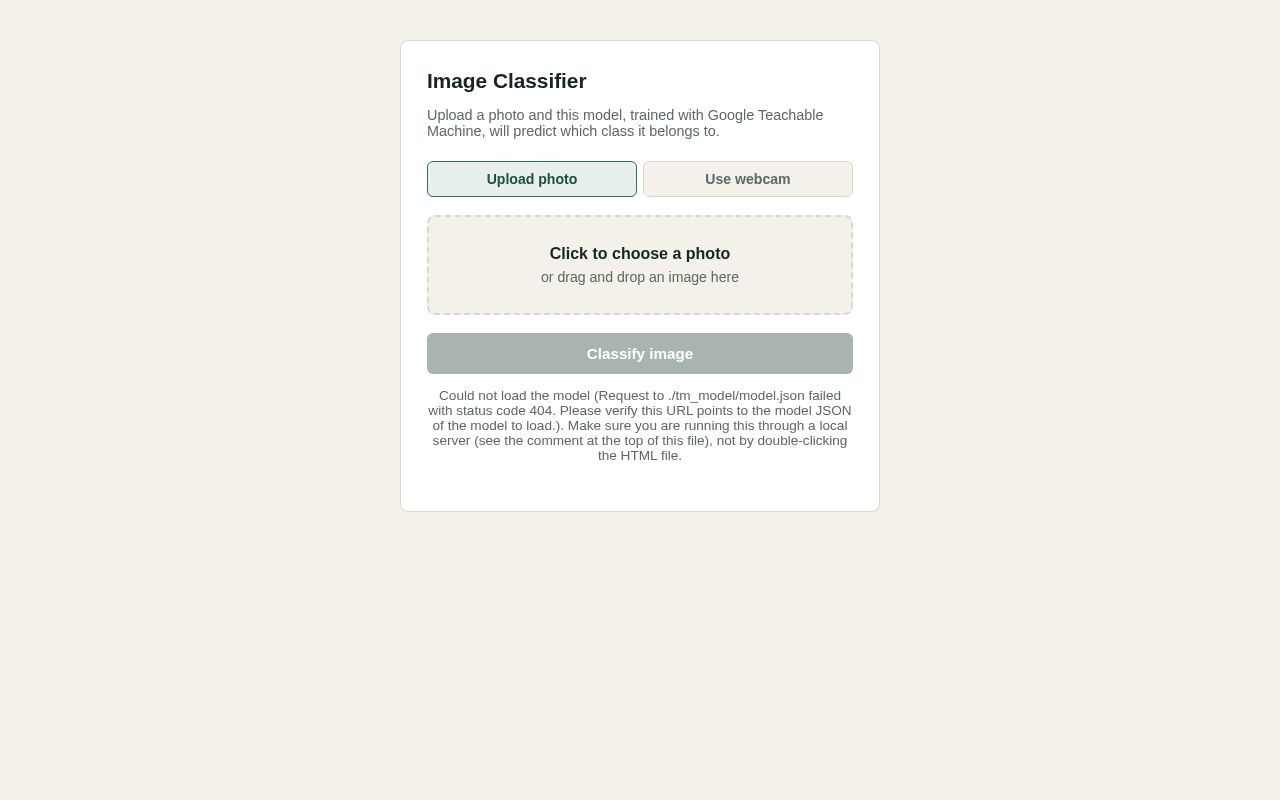 Preview of My Image Classifier (Static)