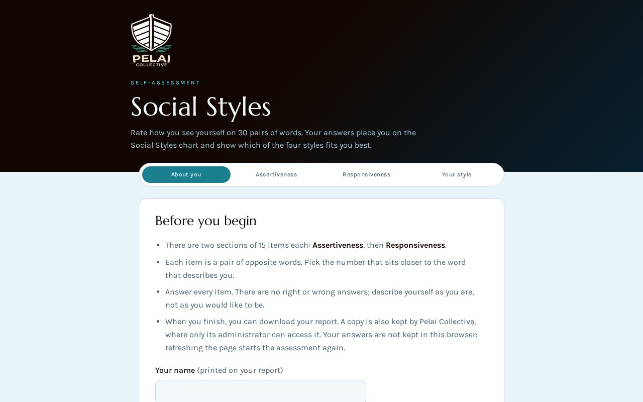 Preview of Assessments Social Styles
