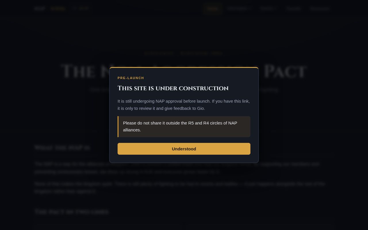 Preview of Nap Website
