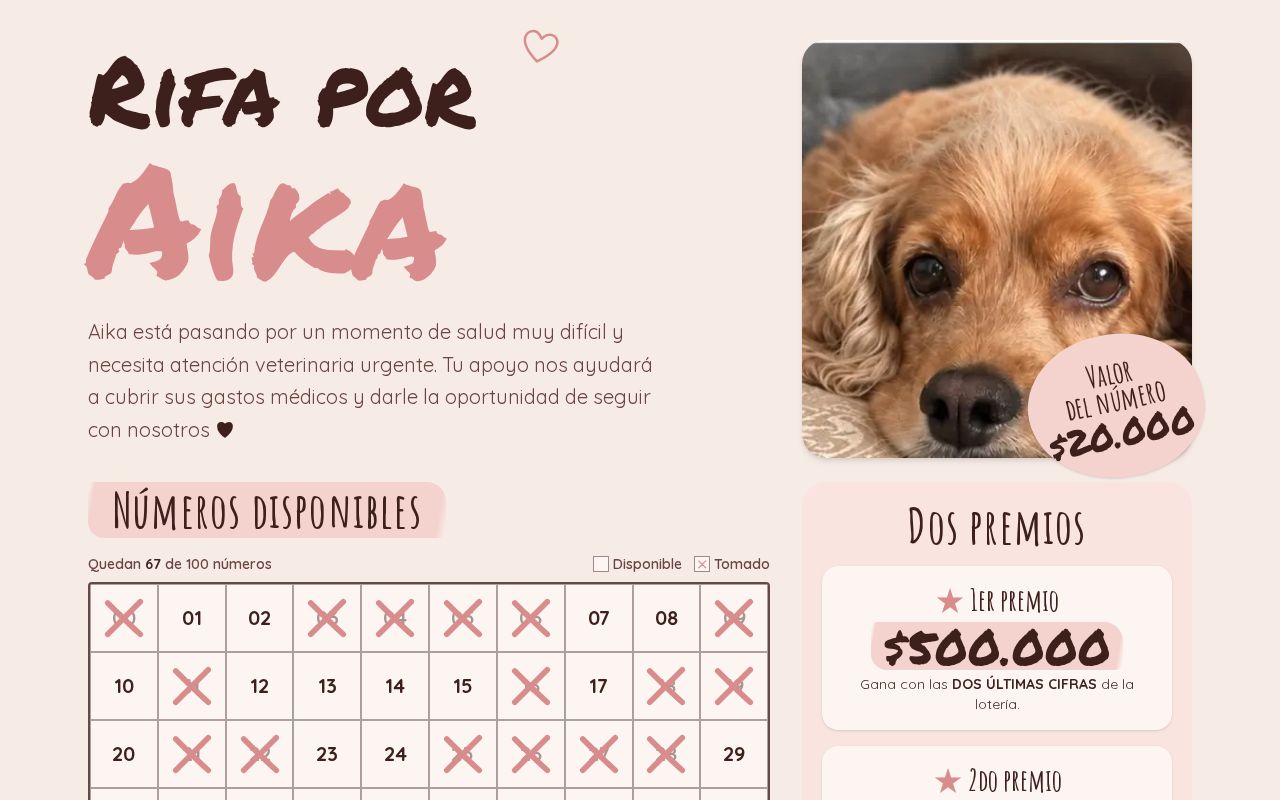 Preview of Rifa Aika