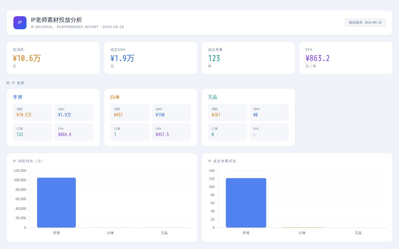 Preview of Ip Report