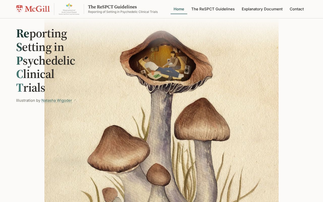 Preview of Respct Guidelines Website