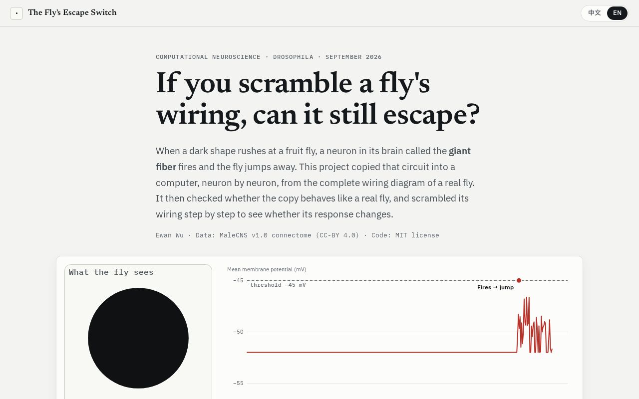 Preview of Fly Escape Switch