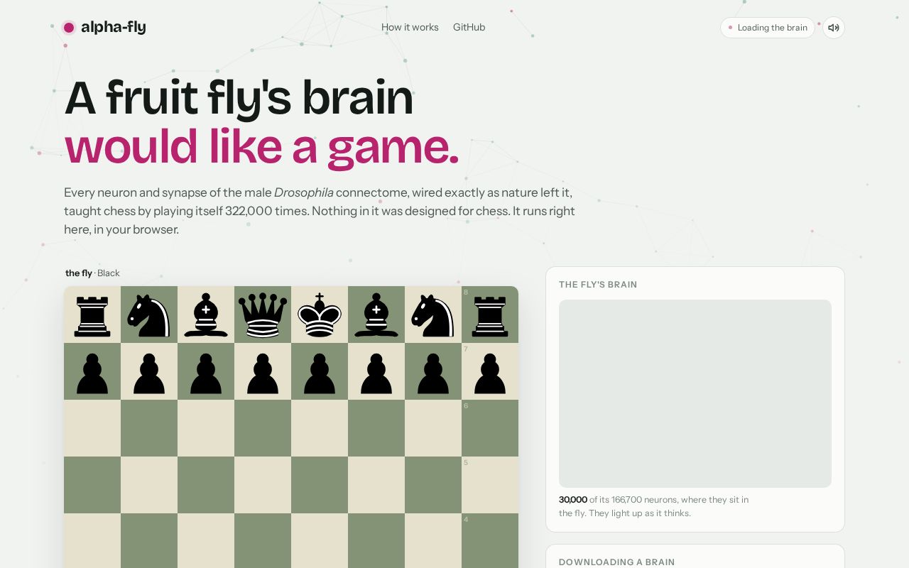 Preview of Alpha Fly