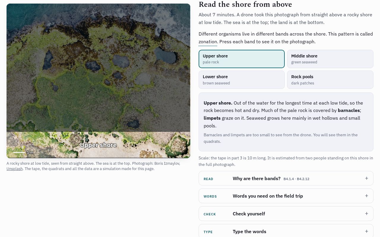 Preview of Rocky Shore Fieldwork Pract