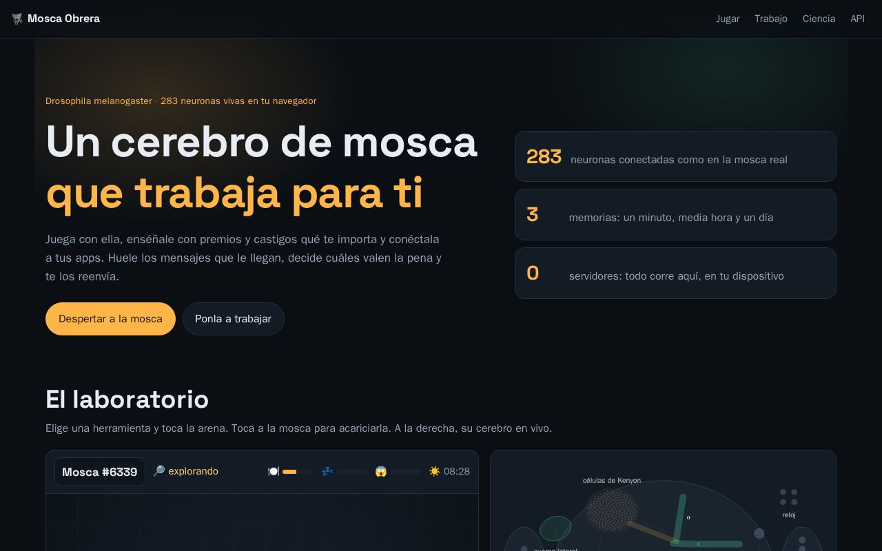 Preview of Mosca Obrera