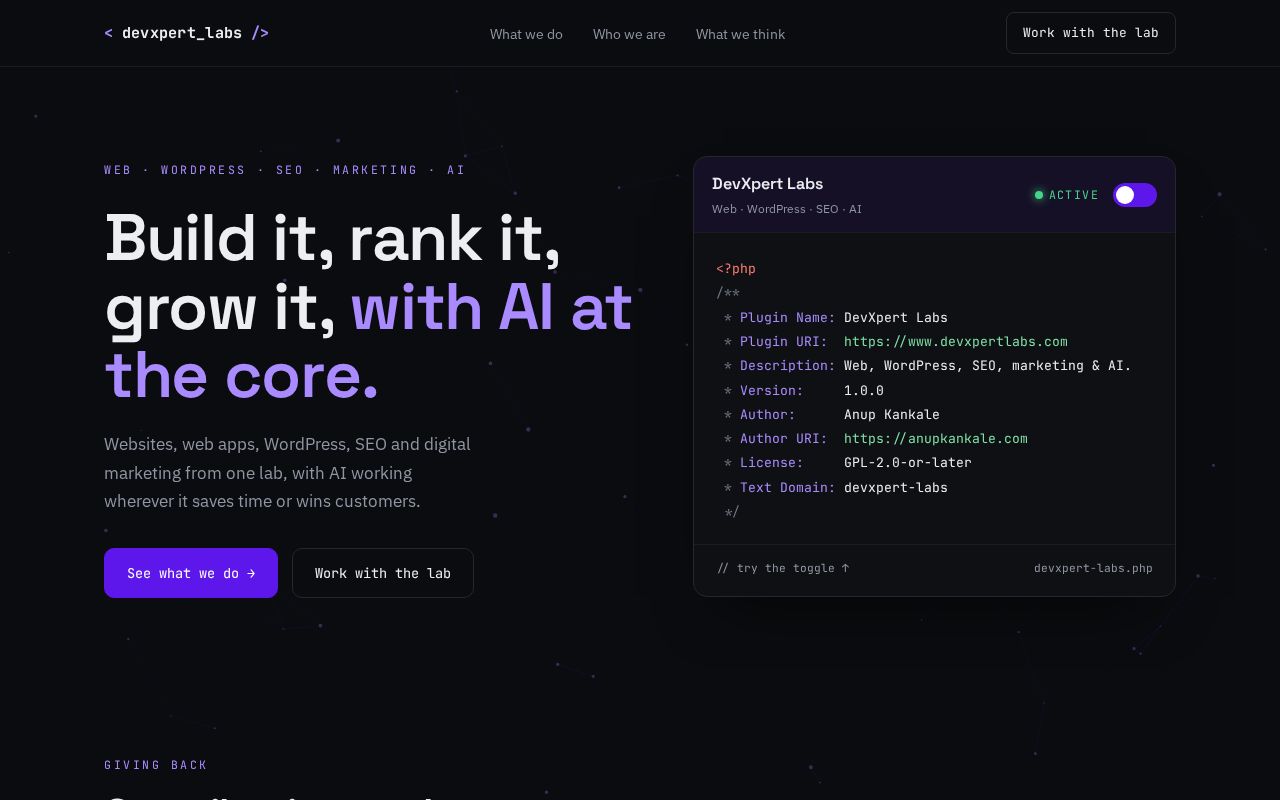 Preview of Devxpertweb