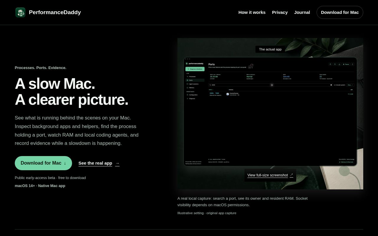 Preview of Performancedaddy