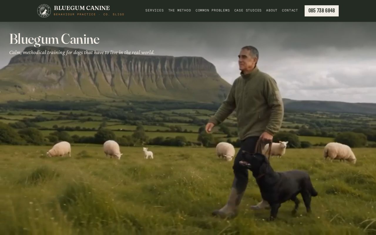 Preview of Bluegum Canine — dog training and behaviour, Co. Sligo. Draft site, noindex.