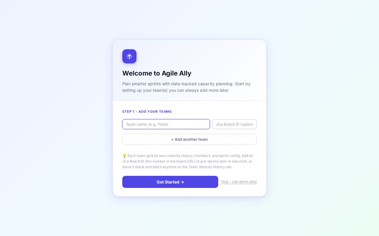 Preview of Agile Ally