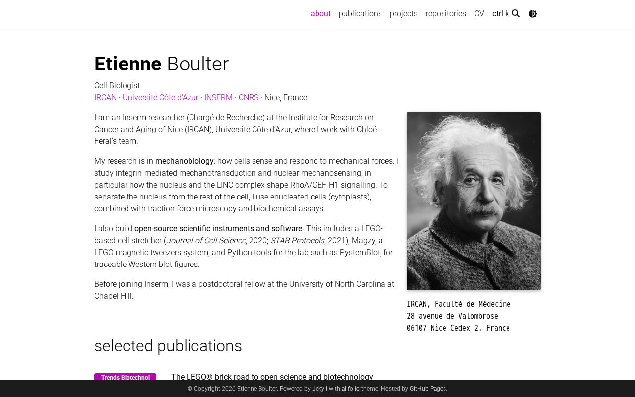 Preview of TheBrickalista Github Io