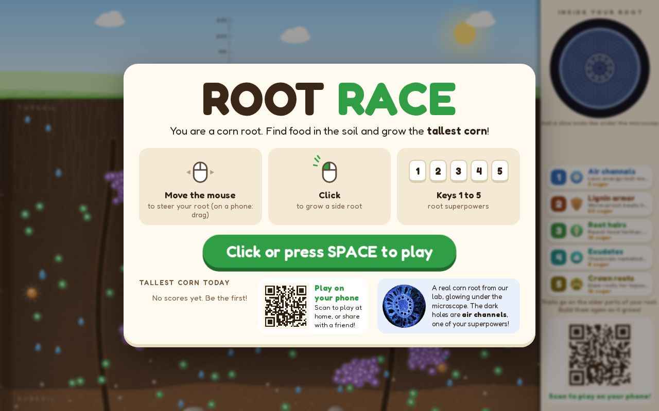 Preview of Root Race