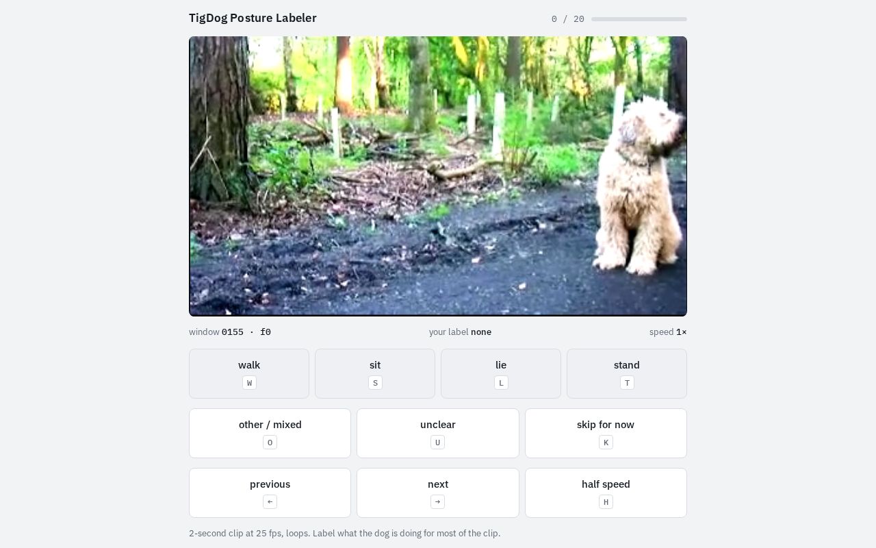 Preview of Dog Labelling