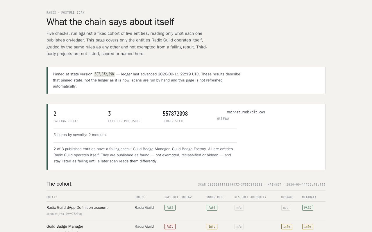 Preview of Scrypto Audit Kit