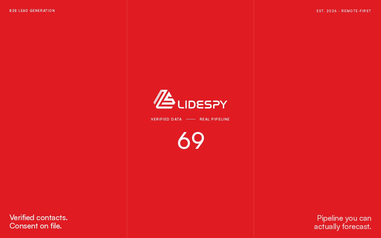 Preview of Lidespy Website