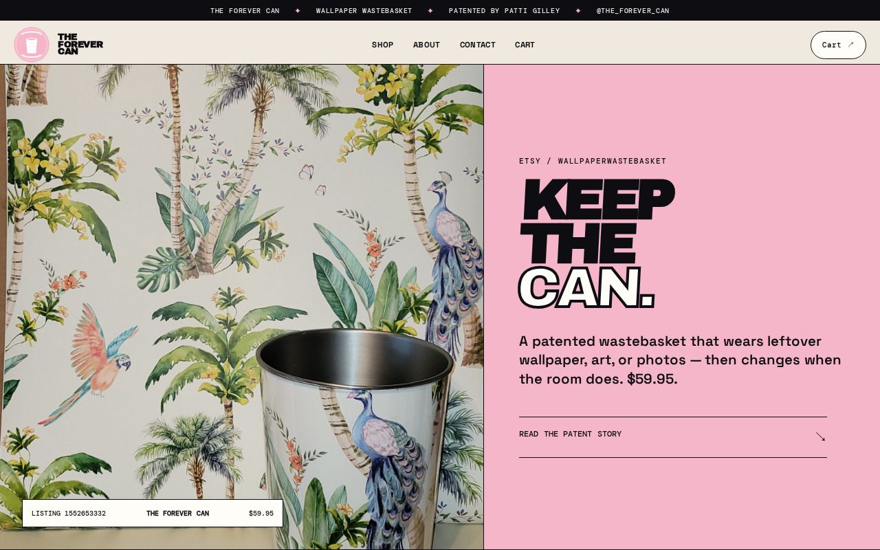 Preview of The Forever Can