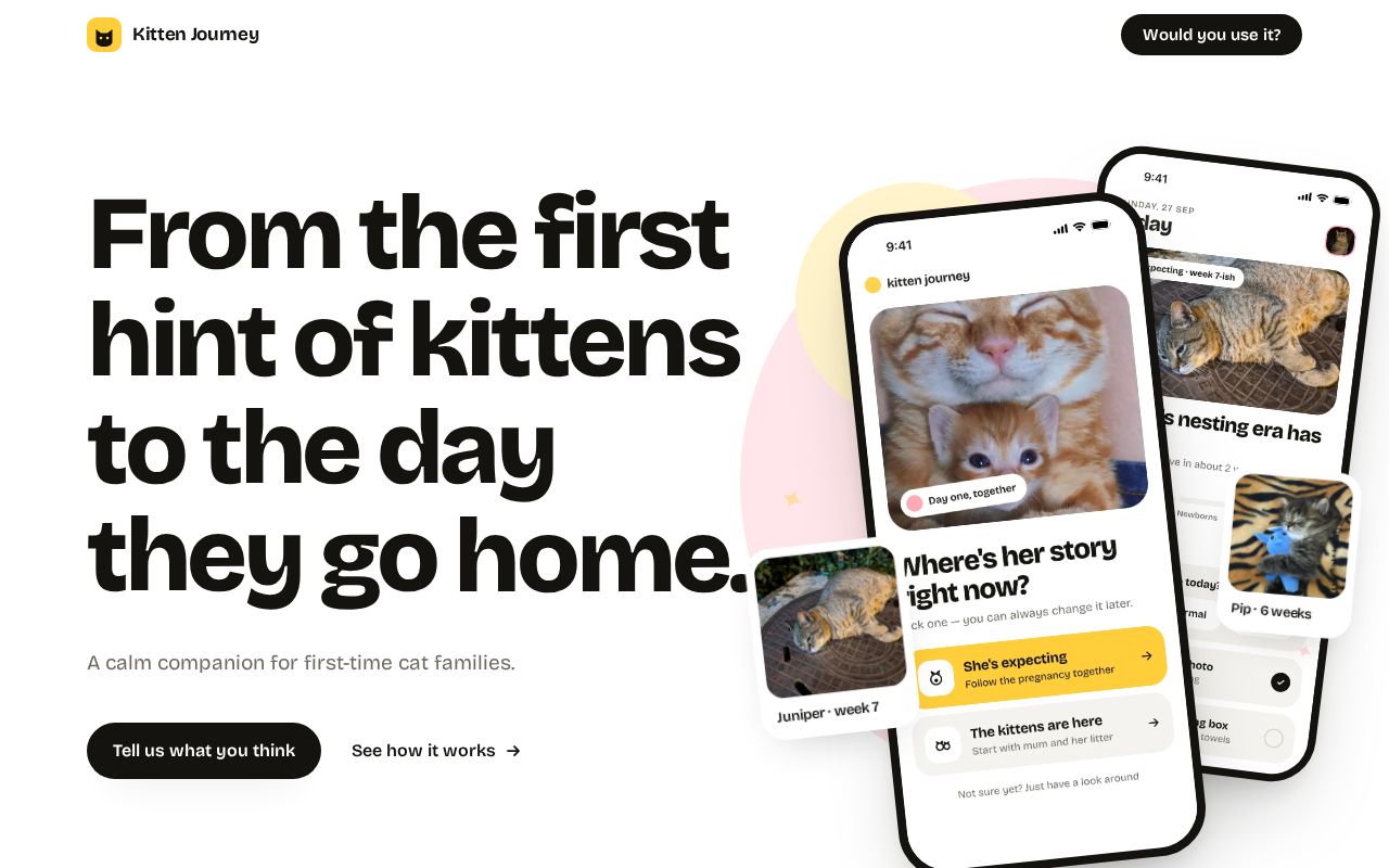 Preview of Kitten Journey
