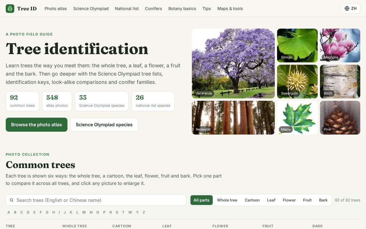 Preview of TreeID