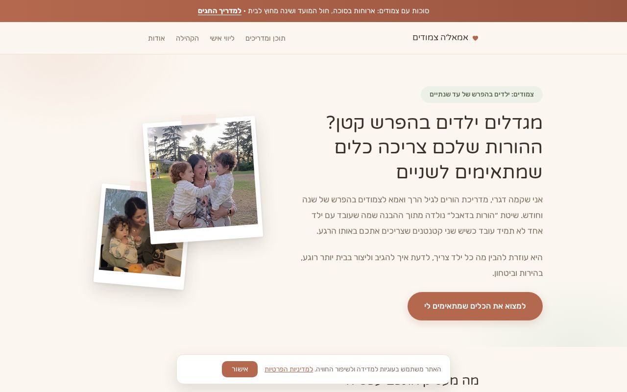 Preview of Shikma Site