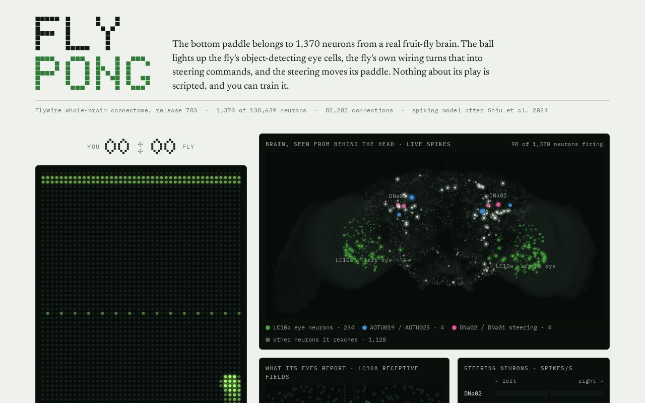 Preview of Fly Net