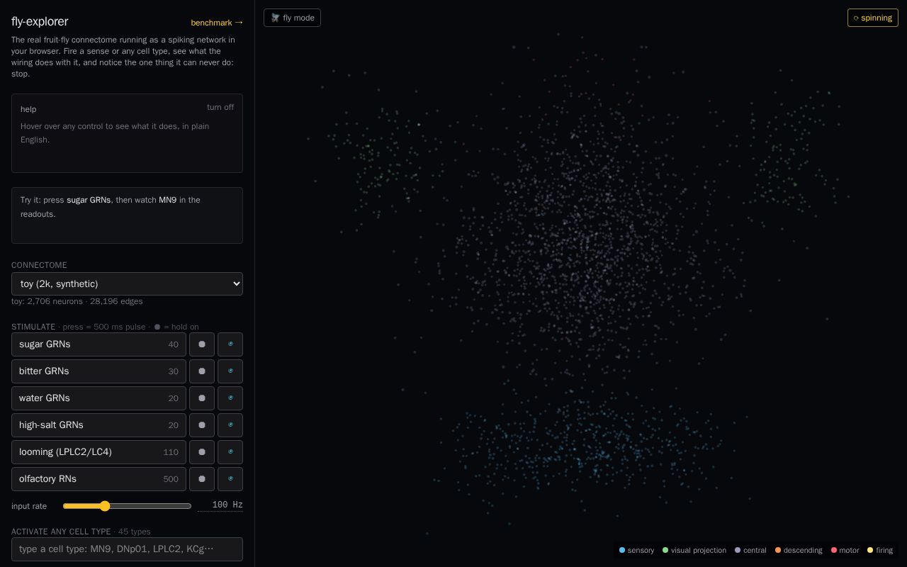 Preview of Fly Explorer