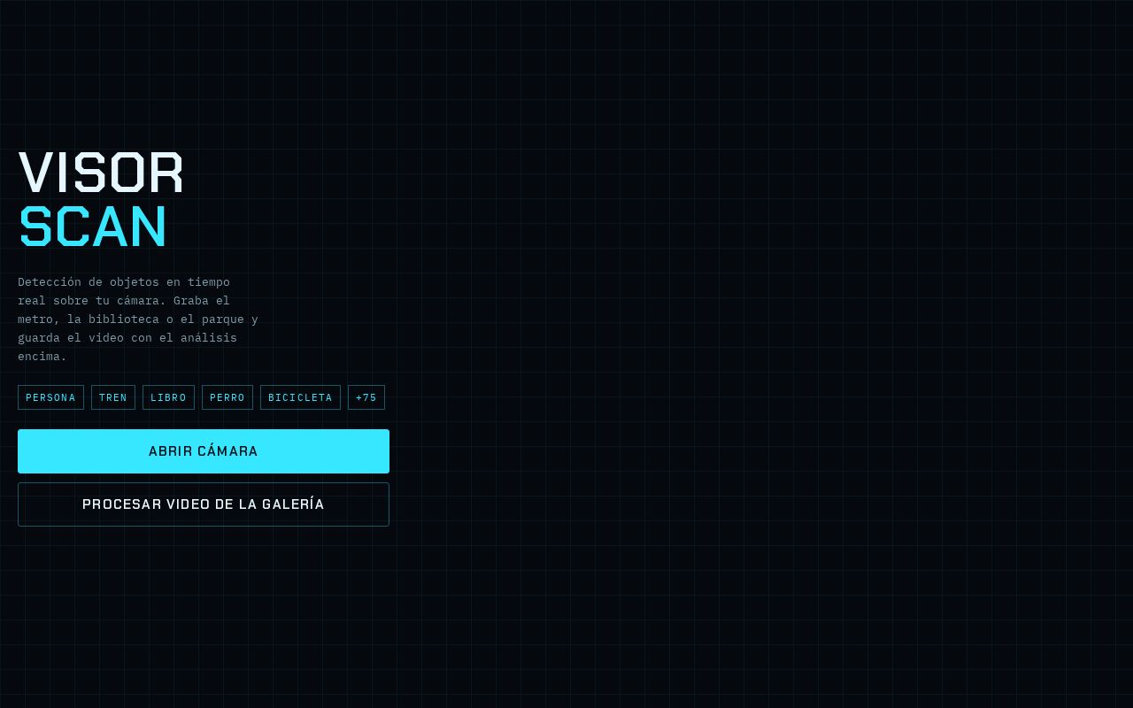 Preview of Visor Scan