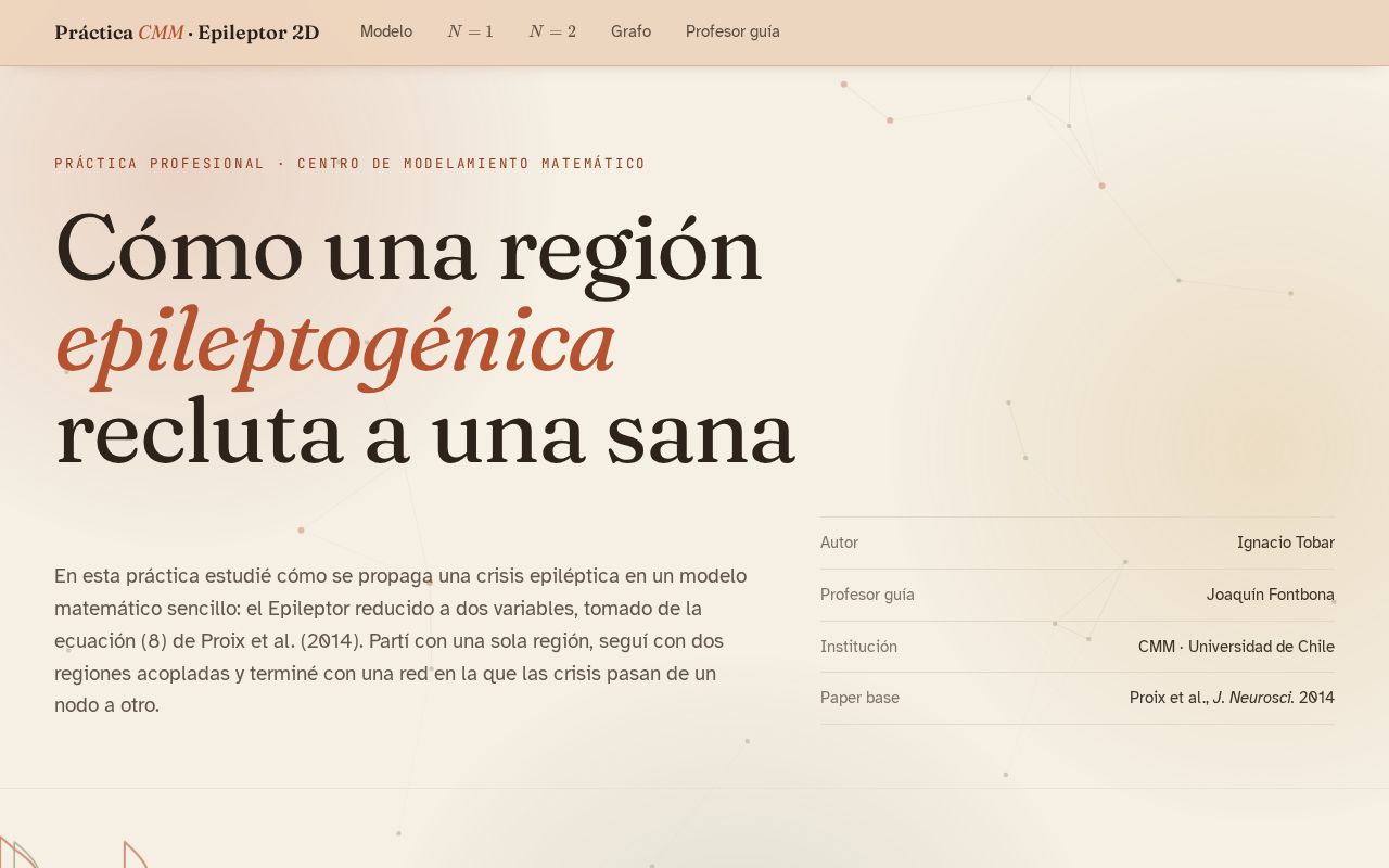 Preview of Practica Profesional UChile