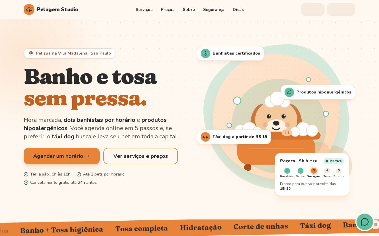 Preview of Pelagem Studio