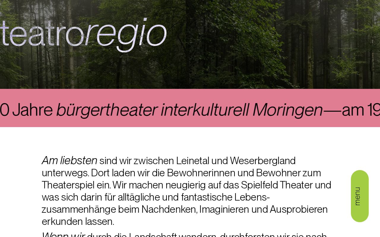 Preview of Teatro Regio