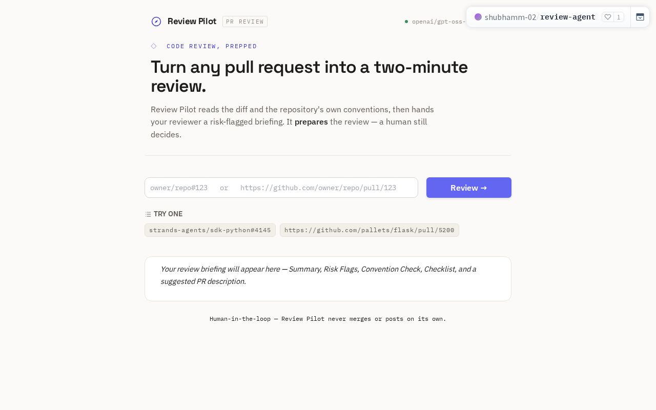 Preview of Review Agent