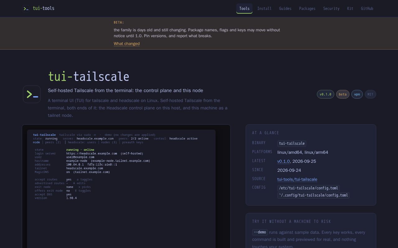 Preview of Tui Tailscale