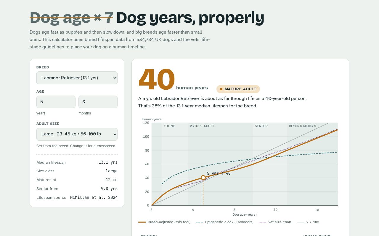Preview of Dog Years, Properly