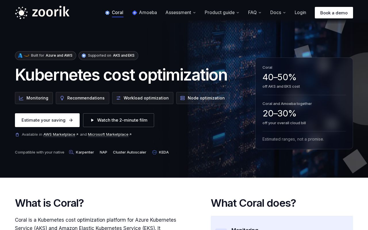 Preview of Terraform Aws Zoorik Coral