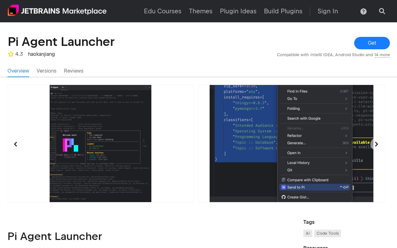 Preview of Pi Jetbrains Terminal Bridge