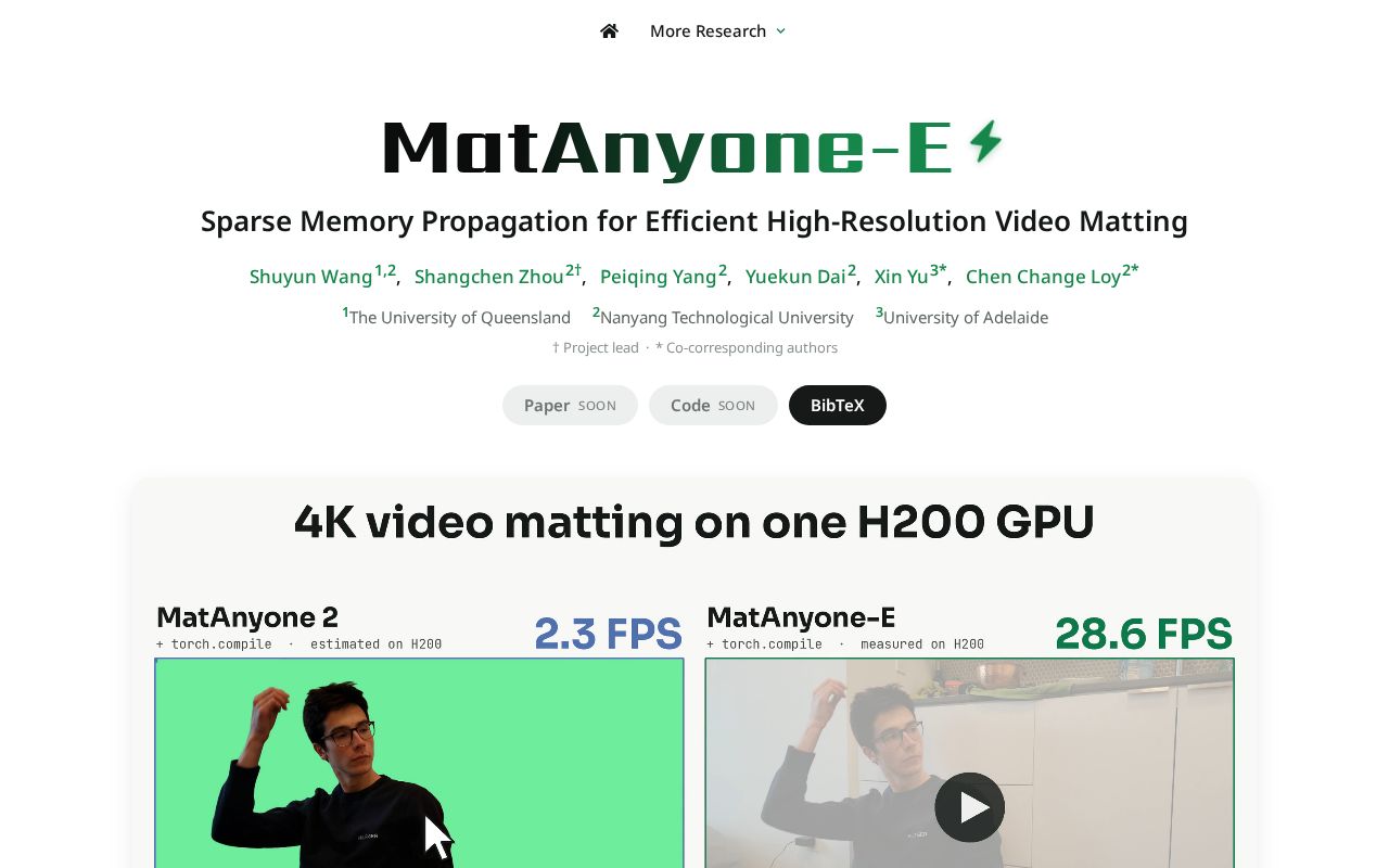 Preview of MatAnyone E