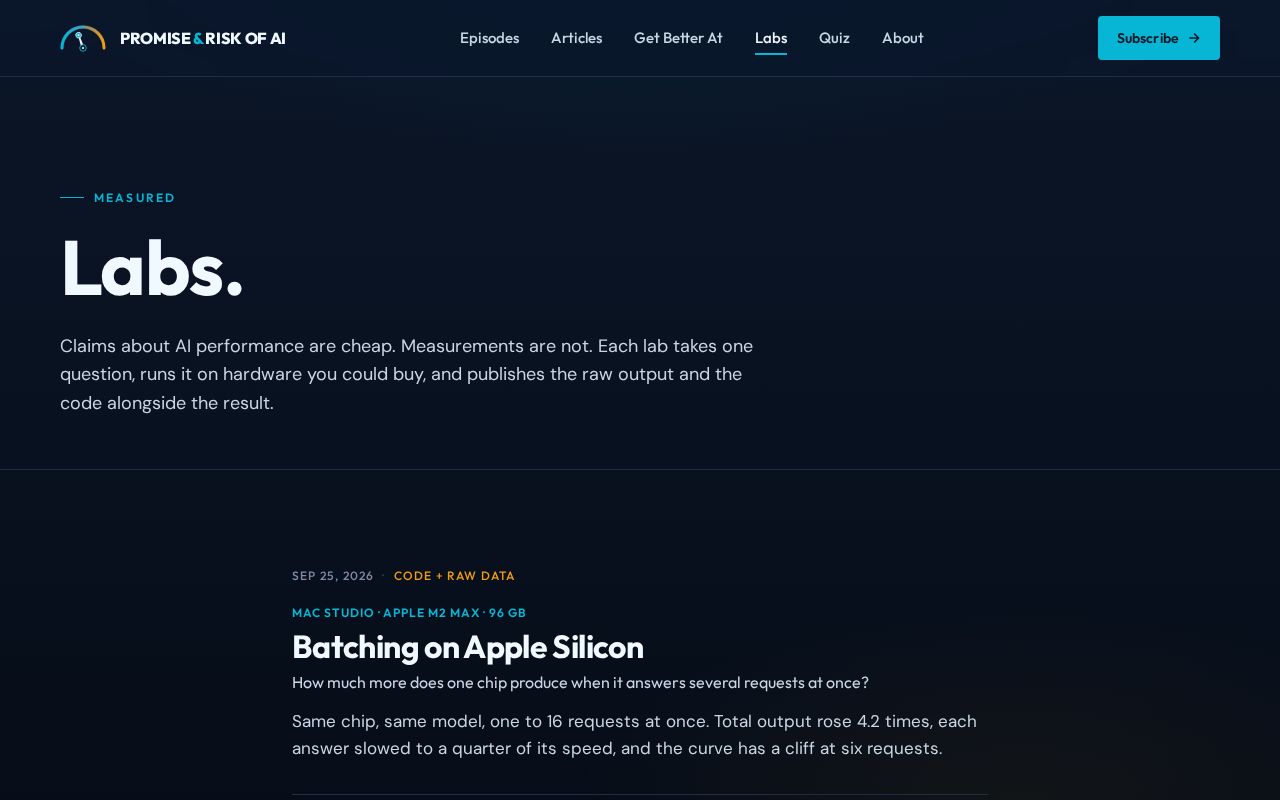 Preview of Labs