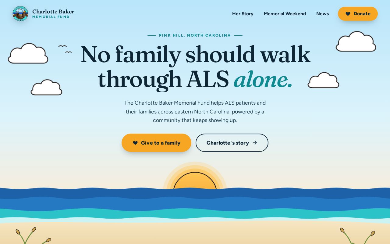 Preview of Cbmf Website