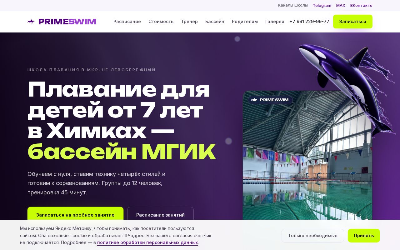 Preview of Primeswim Website