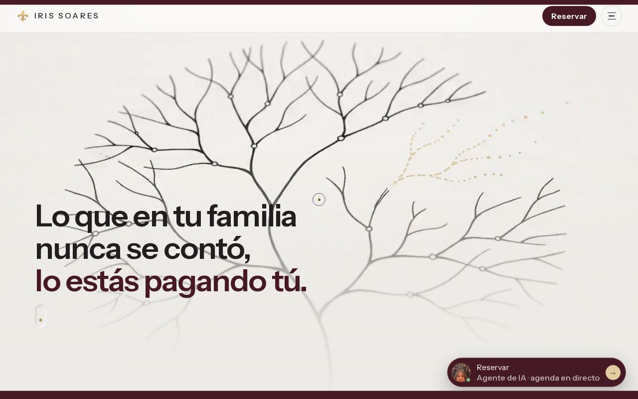 Preview of Plataforma Web