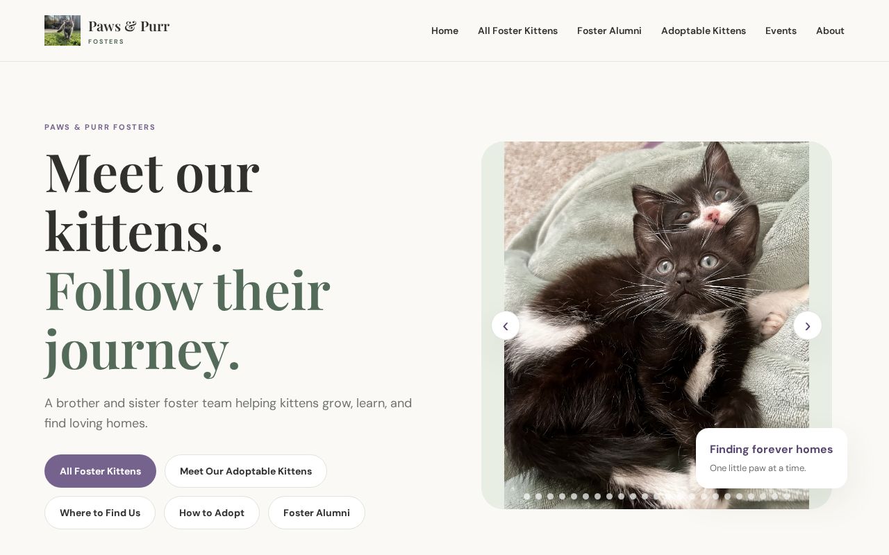 Preview of Pawsandpurrfosters Com