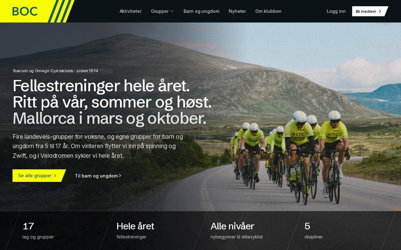 Preview of Boc Website